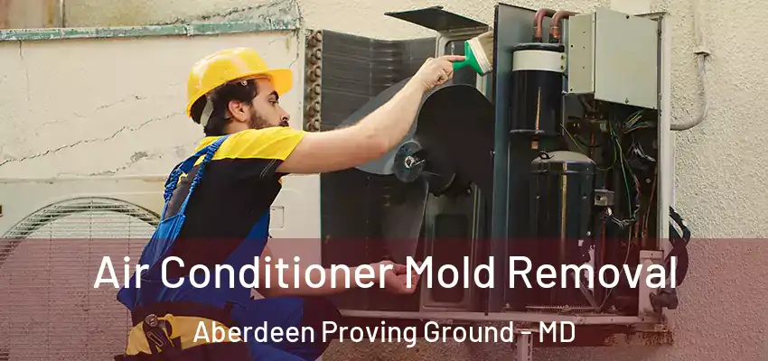 Air Conditioner Mold Removal Aberdeen Proving Ground - MD