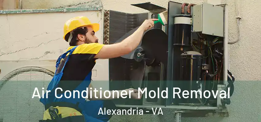 Air Conditioner Mold Removal Alexandria - VA