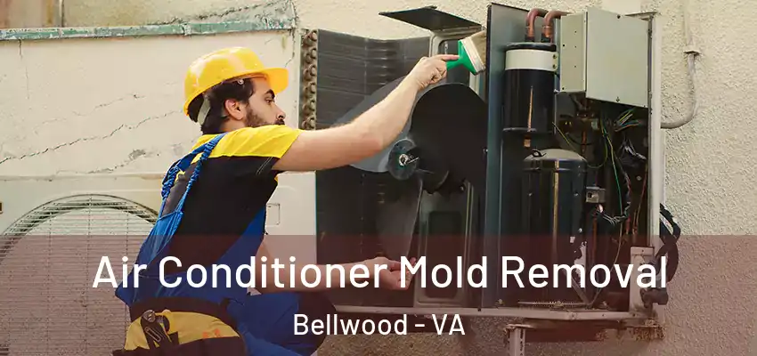 Air Conditioner Mold Removal Bellwood - VA