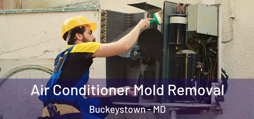 Air Conditioner Mold Removal Buckeystown - MD