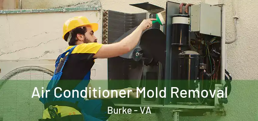 Air Conditioner Mold Removal Burke - VA