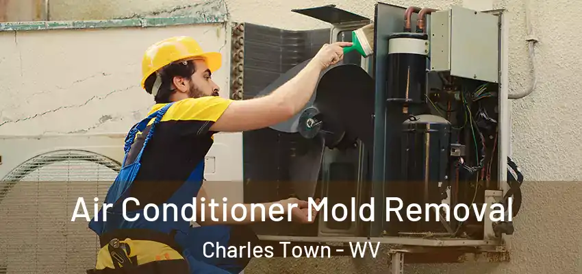 Air Conditioner Mold Removal Charles Town - WV