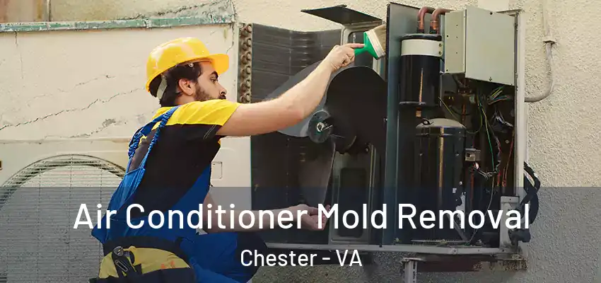 Air Conditioner Mold Removal Chester - VA