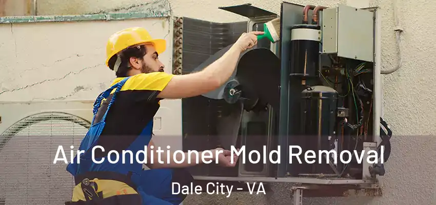 Air Conditioner Mold Removal Dale City - VA