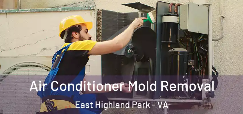 Air Conditioner Mold Removal East Highland Park - VA