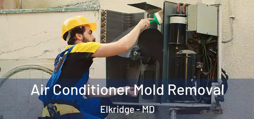 Air Conditioner Mold Removal Elkridge - MD