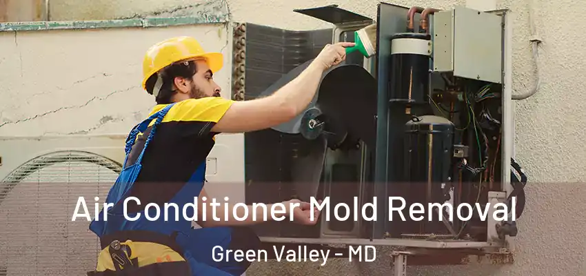 Air Conditioner Mold Removal Green Valley - MD