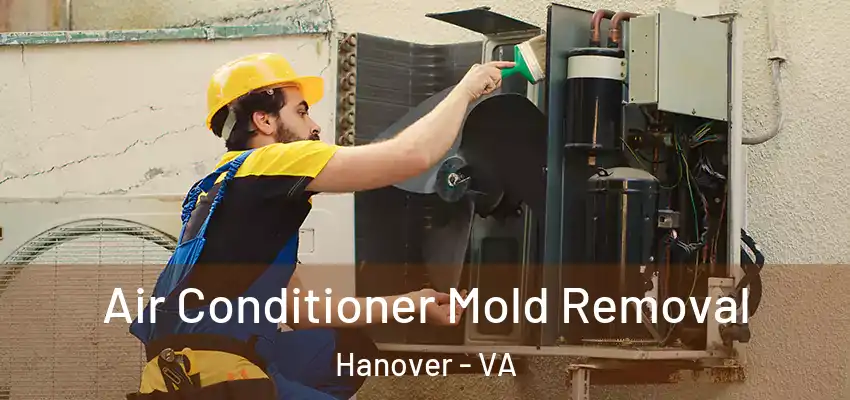  Air Conditioner Mold Removal Hanover - VA