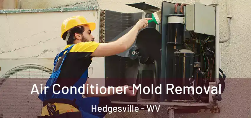 Air Conditioner Mold Removal Hedgesville - WV