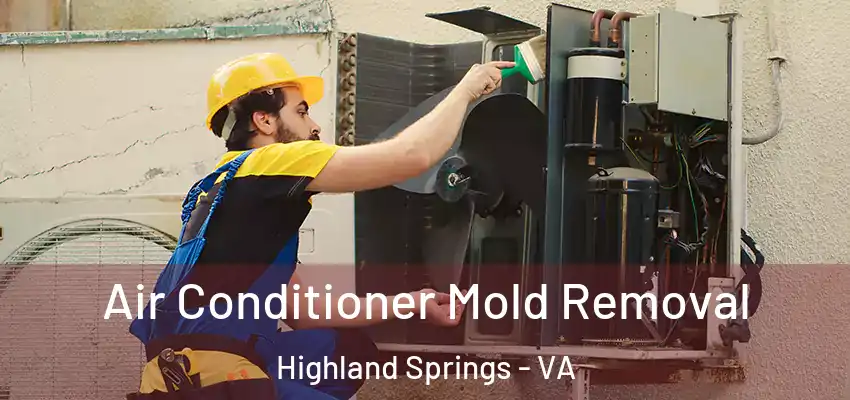 Air Conditioner Mold Removal Highland Springs - VA