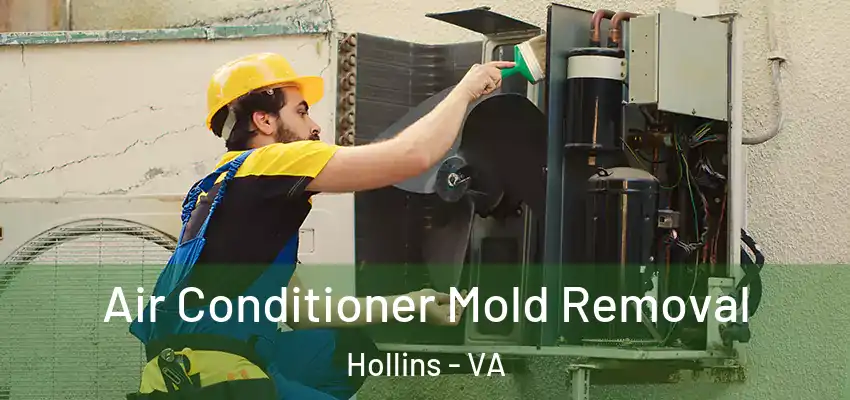 Air Conditioner Mold Removal Hollins - VA
