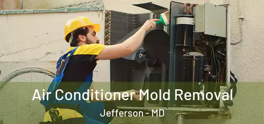  Air Conditioner Mold Removal Jefferson - MD