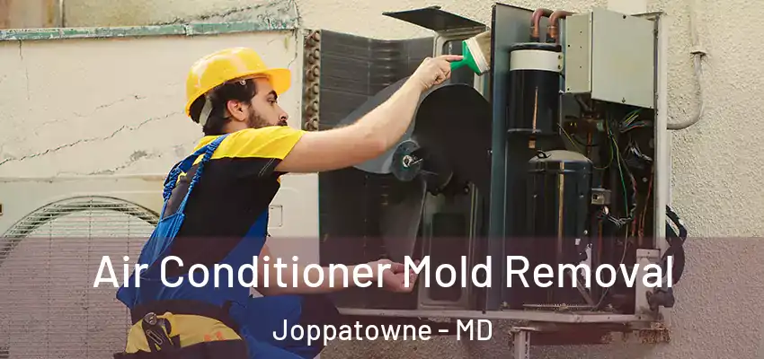  Air Conditioner Mold Removal Joppatowne - MD