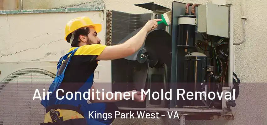  Air Conditioner Mold Removal Kings Park West - VA