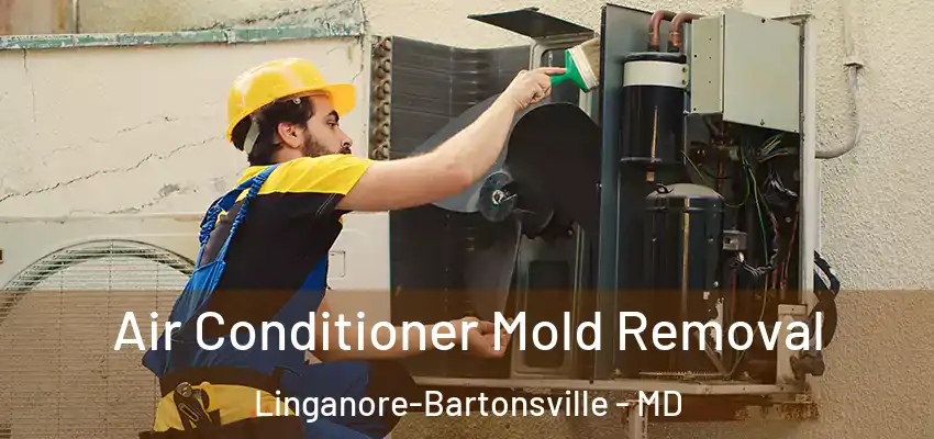  Air Conditioner Mold Removal Linganore-Bartonsville - MD