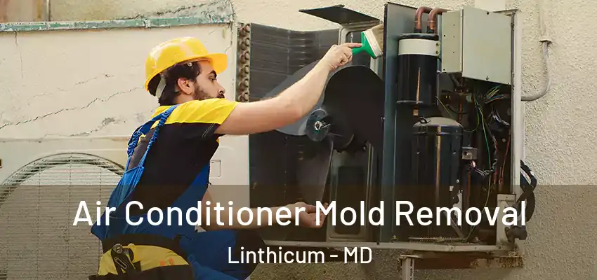  Air Conditioner Mold Removal Linthicum - MD