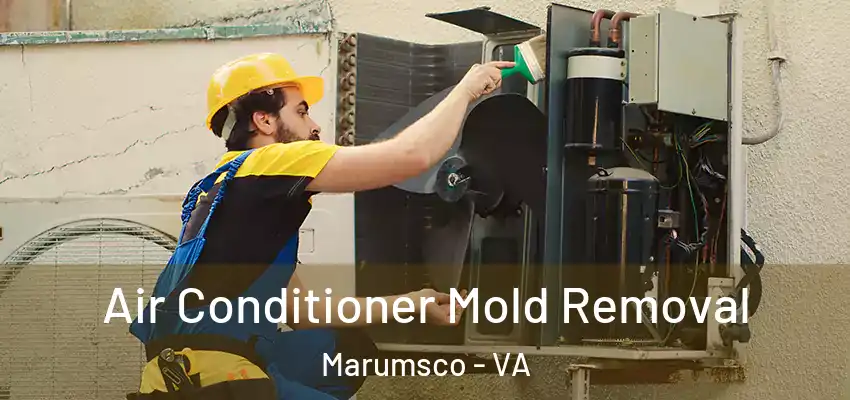  Air Conditioner Mold Removal Marumsco - VA