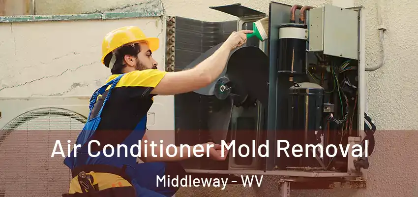 Air Conditioner Mold Removal Middleway - WV