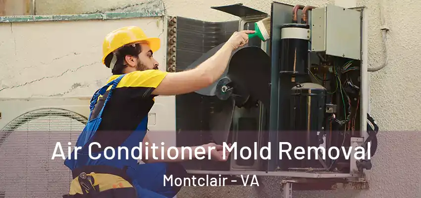 Air Conditioner Mold Removal Montclair - VA