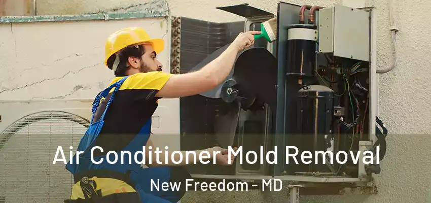 Air Conditioner Mold Removal New Freedom - MD