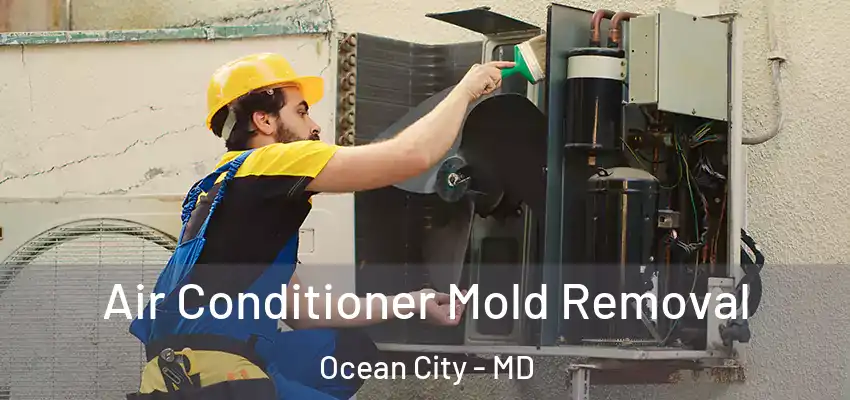 Air Conditioner Mold Removal Ocean City - MD