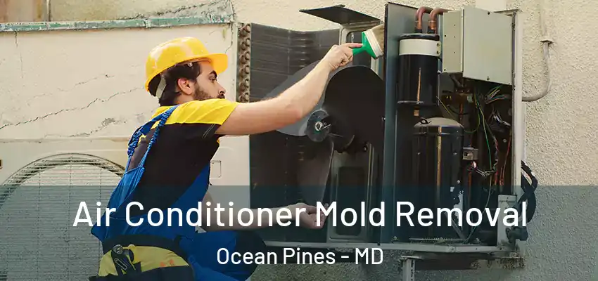 Air Conditioner Mold Removal Ocean Pines - MD