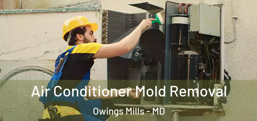 Air Conditioner Mold Removal Owings Mills - MD