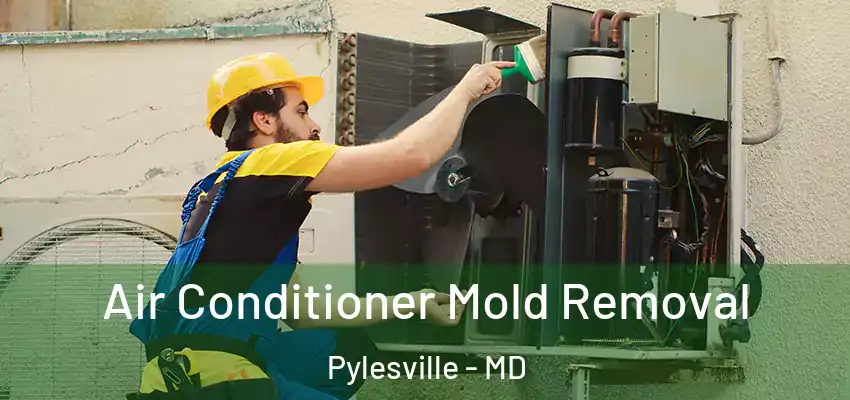  Air Conditioner Mold Removal Pylesville - MD