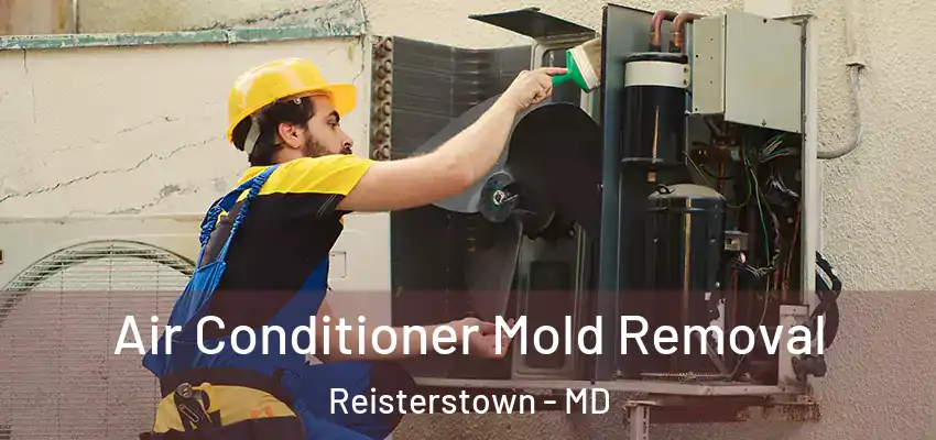 Air Conditioner Mold Removal Reisterstown - MD