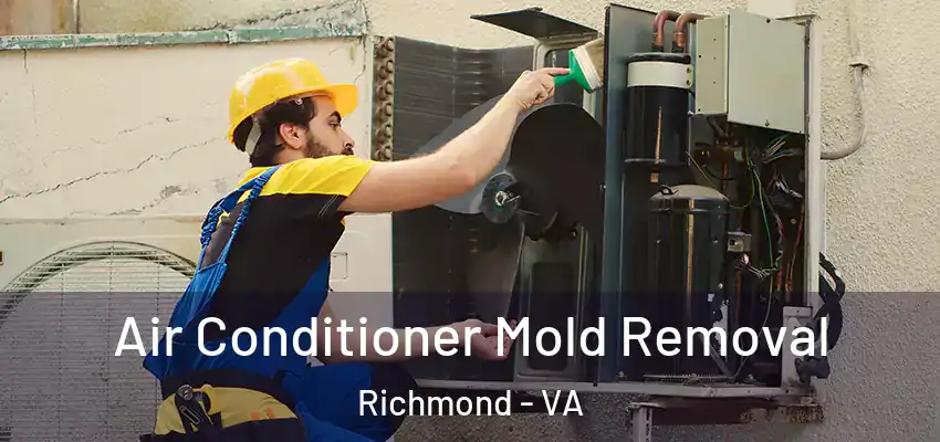 Air Conditioner Mold Removal Richmond - VA