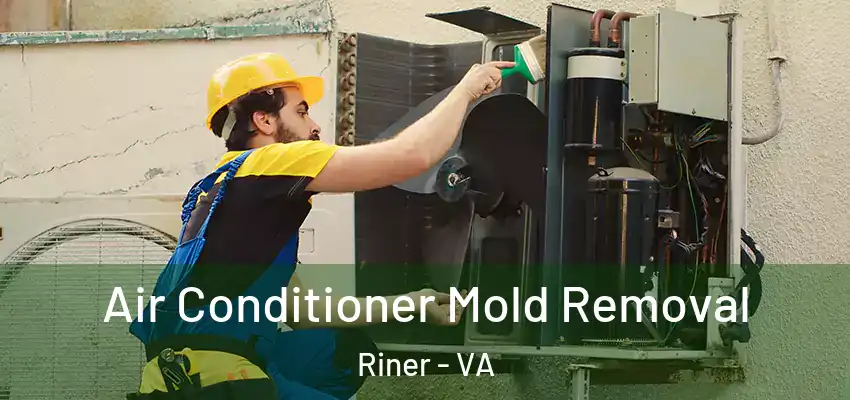 Air Conditioner Mold Removal Riner - VA