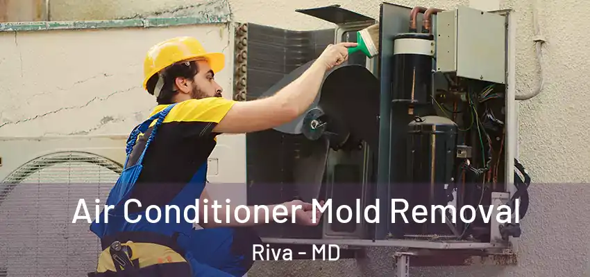  Air Conditioner Mold Removal Riva - MD