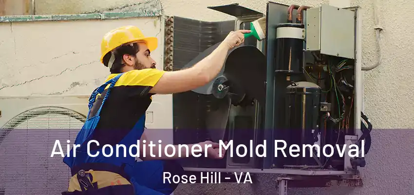 Air Conditioner Mold Removal Rose Hill - VA
