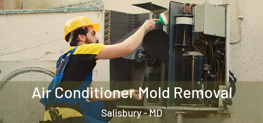  Air Conditioner Mold Removal Salisbury - MD