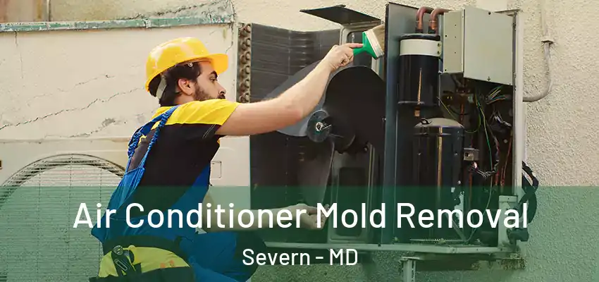  Air Conditioner Mold Removal Severn - MD