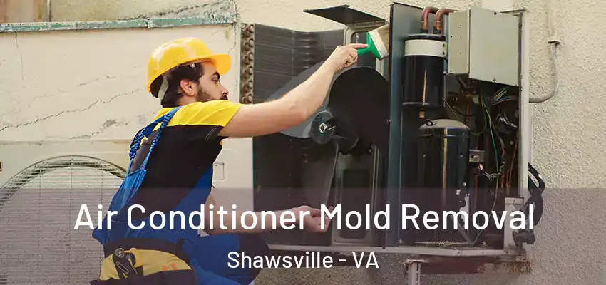  Air Conditioner Mold Removal Shawsville - VA