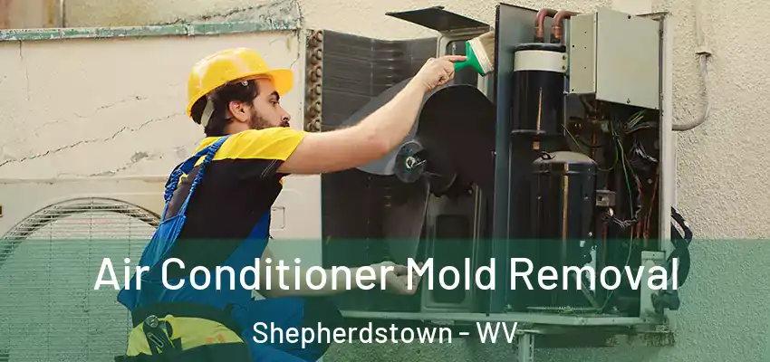  Air Conditioner Mold Removal Shepherdstown - WV