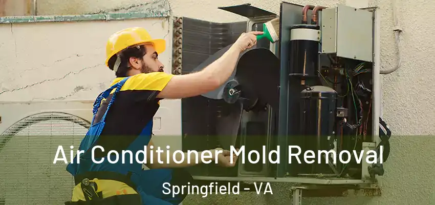  Air Conditioner Mold Removal Springfield - VA