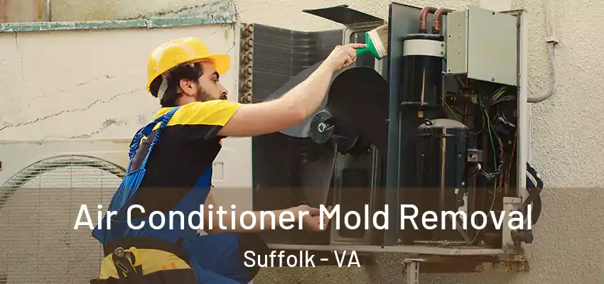  Air Conditioner Mold Removal Suffolk - VA