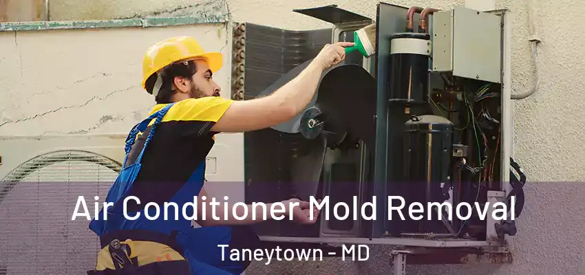 Air Conditioner Mold Removal Taneytown - MD