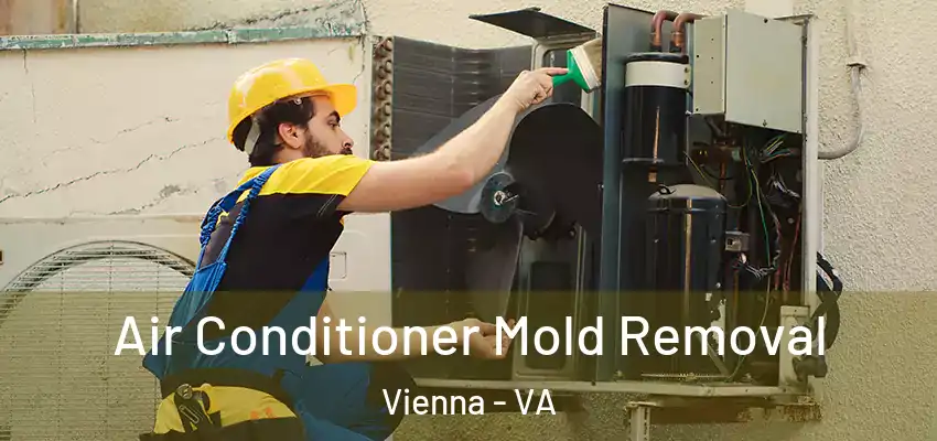  Air Conditioner Mold Removal Vienna - VA