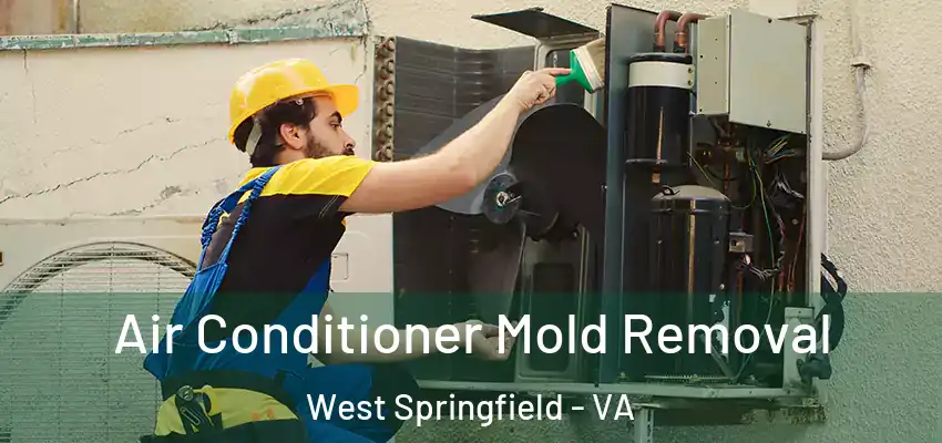 Air Conditioner Mold Removal West Springfield - VA