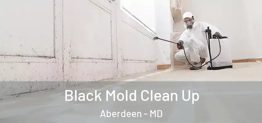Black Mold Clean Up Aberdeen - MD