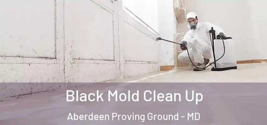 Black Mold Clean Up Aberdeen Proving Ground - MD