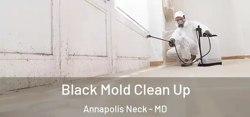 Black Mold Clean Up Annapolis Neck - MD