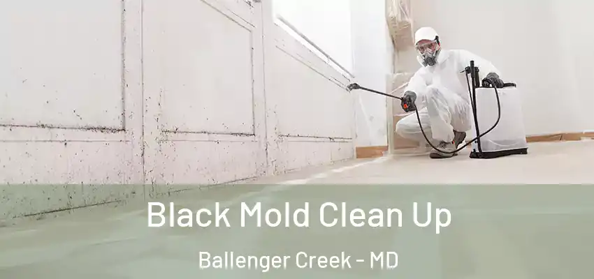 Black Mold Clean Up Ballenger Creek - MD