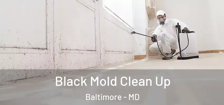 Black Mold Clean Up Baltimore - MD