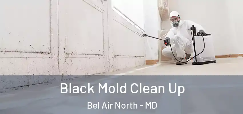 Black Mold Clean Up Bel Air North - MD