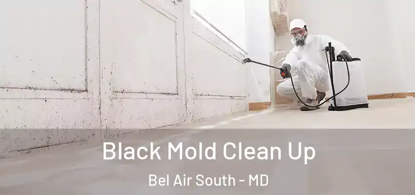 Black Mold Clean Up Bel Air South - MD