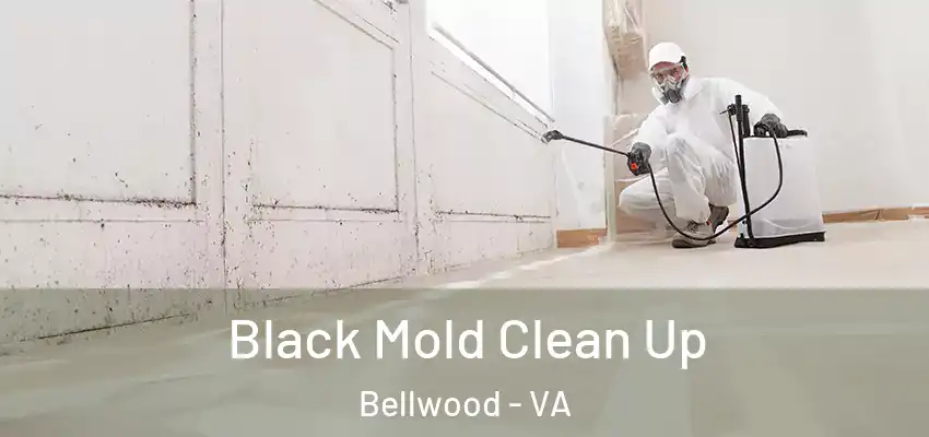 Black Mold Clean Up Bellwood - VA